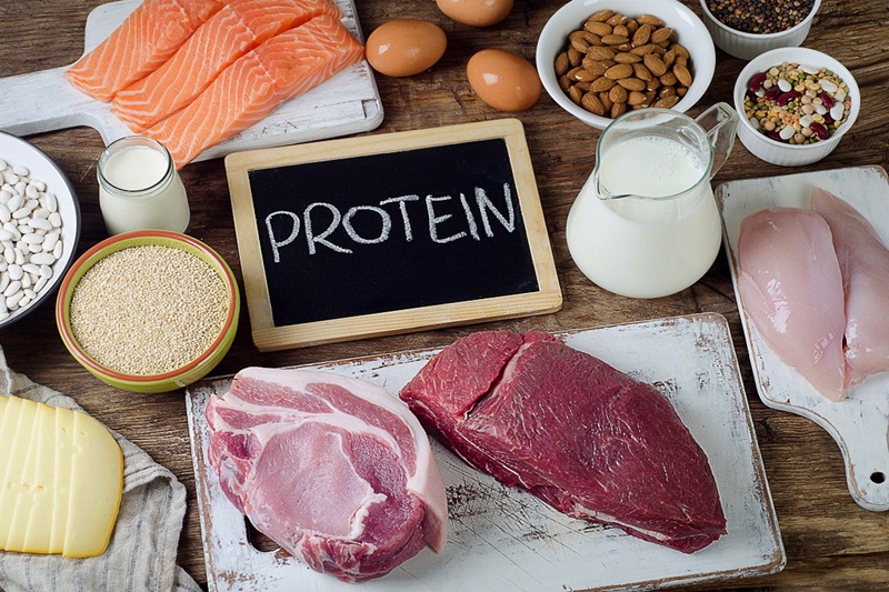 Protein là dưỡng chất cần thiết cho cơ thể