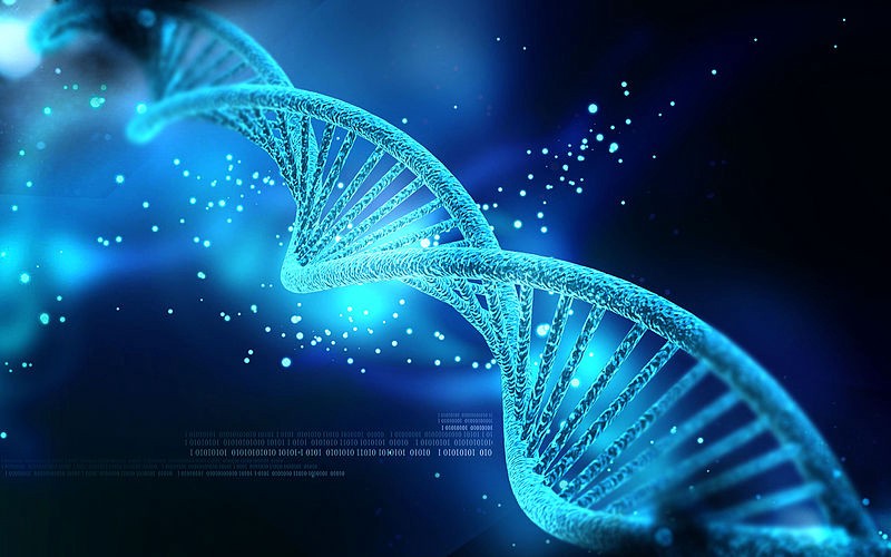 Xét nghiệm ADN có độ chính xác 99,99%