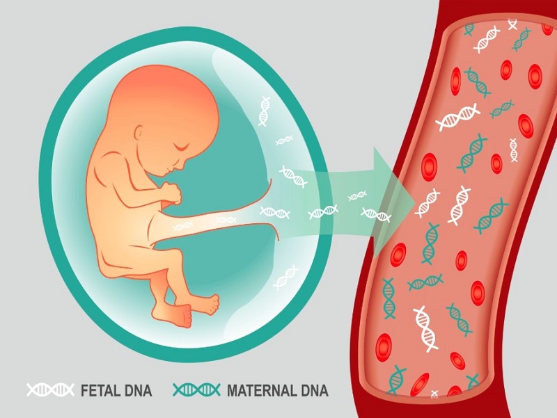 xét nghiệm ADN từ trong bụng mẹ