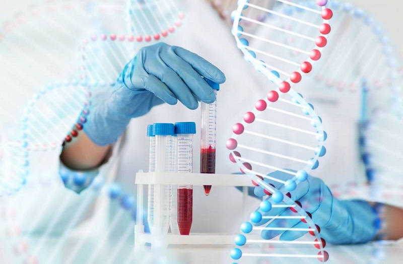 Kết quả xét nghiệm ADN có độ tin cậy 99,99%