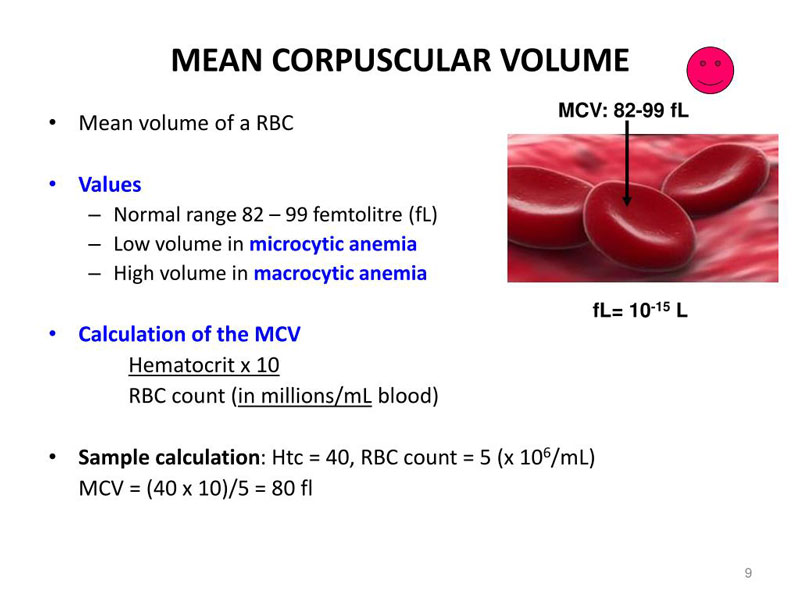 Giúp bạn hiểu chỉ số MCV là gì trong xét nghiệm máu