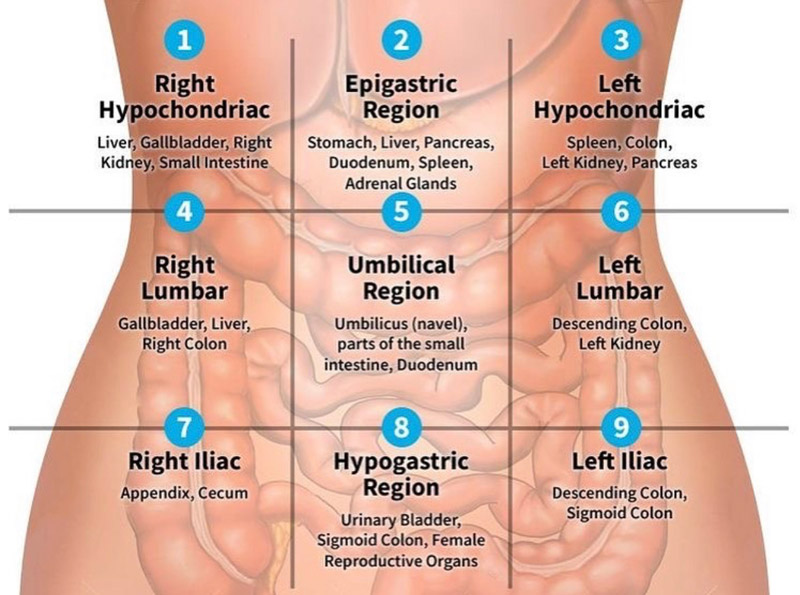 Đau bụng vùng bên trái là dấu hiệu nguy hiểm bởi đây là khu vực có chứa các cơ quan trọng yếu của cơ thể