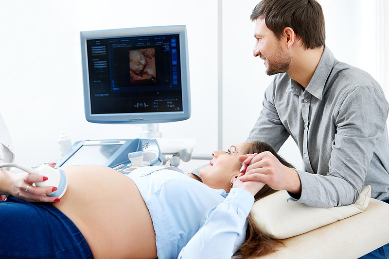 Hình ảnh hiển thị trên máy tính trong quá trình siêu âm thai