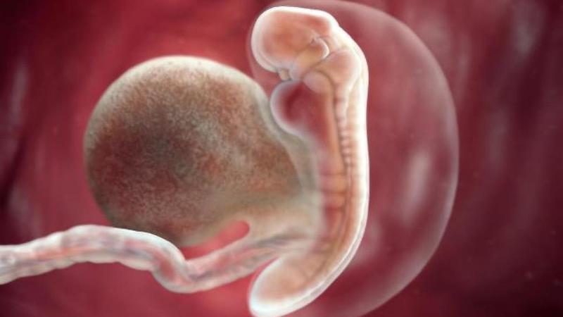 IVF được chỉ định trong trường hợp không có khả năng thụ thai tự nhiên