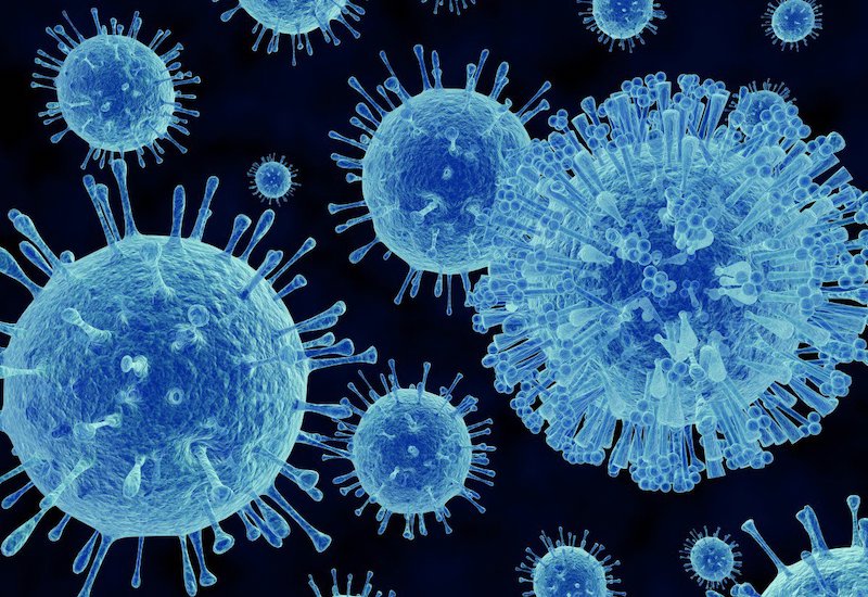 Các loại virus là nguyên nhân khiến trẻ mắc viêm tiểu phế quản