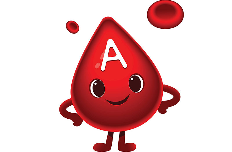 Nhóm máu A cũng là 1 trong những nhóm máu phổ biến