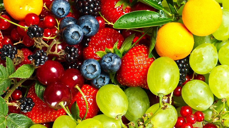 Chế độ ăn uống khoa học lành mạnh, ăn nhiều rau xanh trái cây giúp cuộc sống của  bạn khỏe mạnh hơn