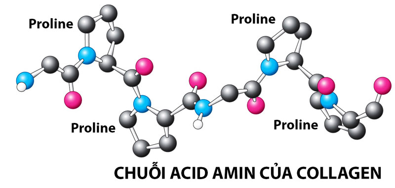 Đặc điểm của axit amin