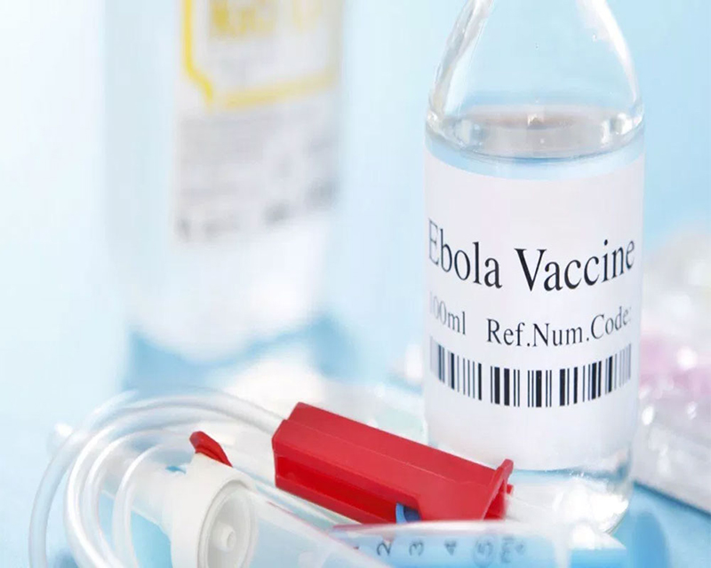 Đến nay thế giới vẫn chưa nghiên cứu thành công vắc xin chống Ebola