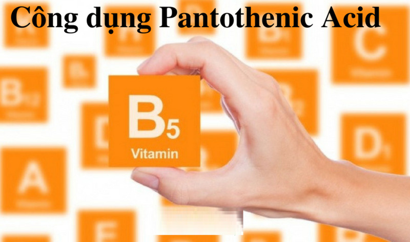 Vitamin B5 có rất nhiều công dụng tốt cho sức khỏe