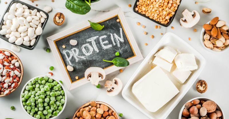 Cần bổ sung Protein trước và sau khi tập gym