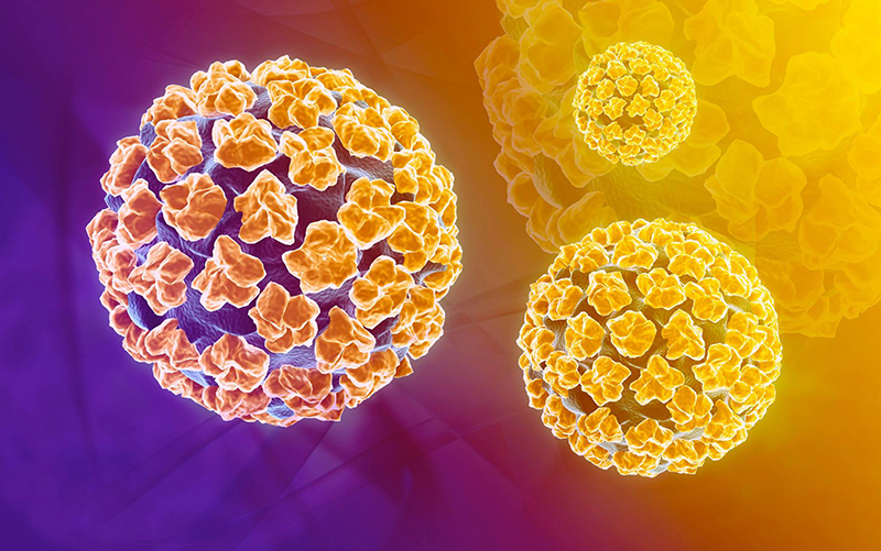 HPV type là một trong những nguyên nhân dẫn đến ung thư cổ tử cung