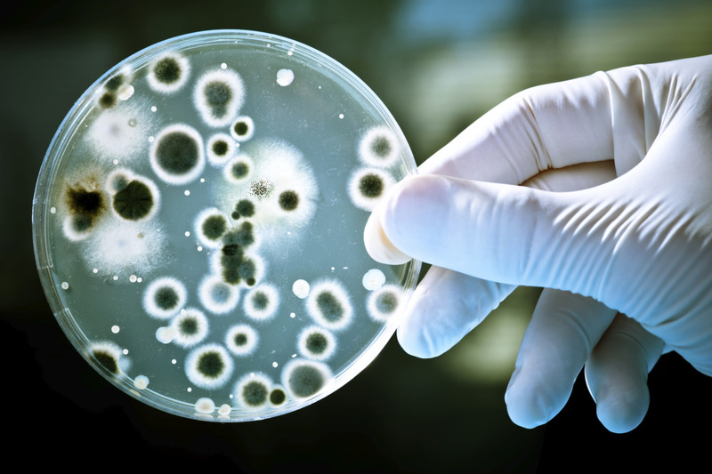 Viêm phế quản do vi khuẩn ít gặp nhưng nguy hiểm hơn
