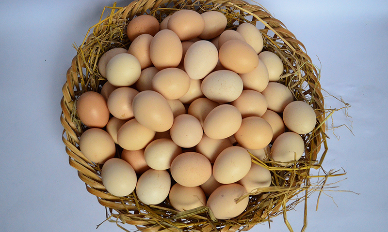 Trong trứng có chưa đến 18 - 29 IU vitamin D và nhiều dưỡng chất rất tốt cho xương
