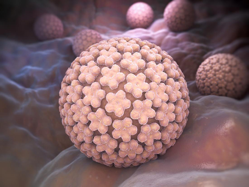 Tiêm phòng là biện pháp hữu hiệu ngăn ngừa sự xâm nhập của virus HPV vào cơ thể người