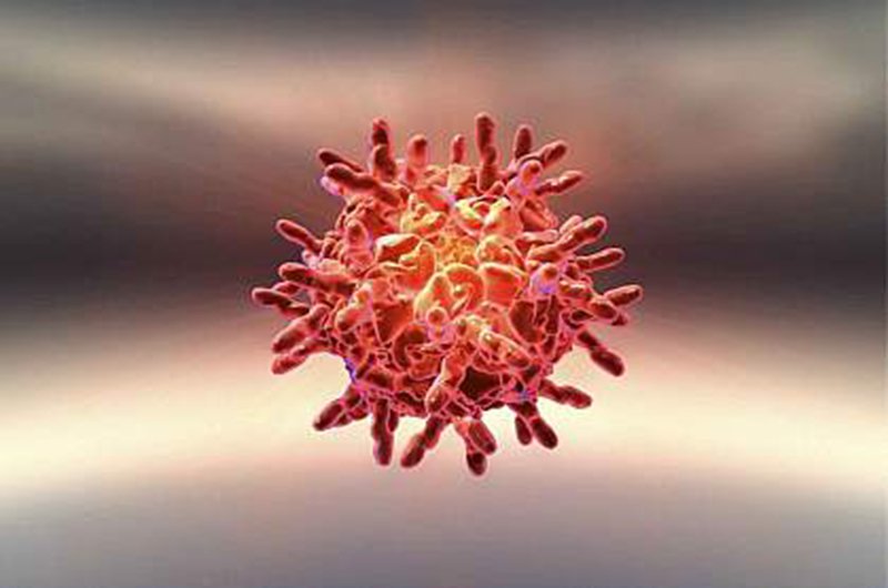 Bệnh cảm lạnh chủ yếu do virus Rhinovirus gây ra