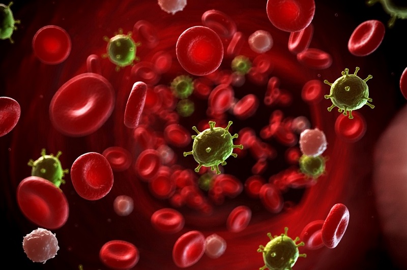 Nhiễm trùng huyết xảy ra khi vi khuẩn, virus xâm nhập vào máu