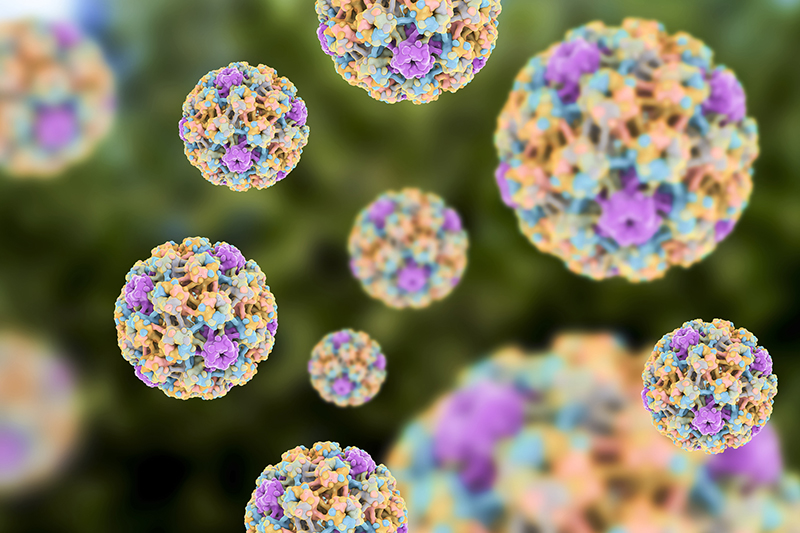 Chủng 16 và 18 HPV có khả năng gây ung thư cao