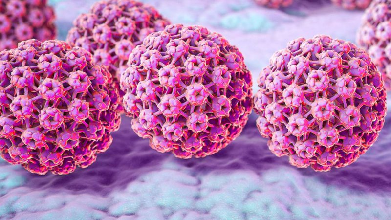 Virus HPV được xác định có hơn 40 chủng gây các bệnh đường tình dục