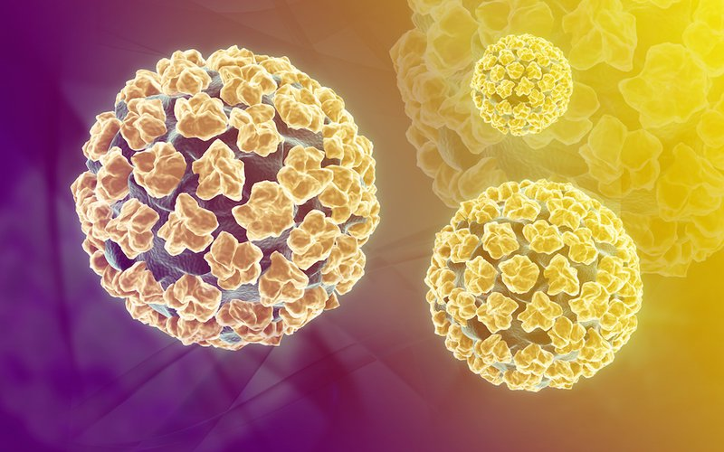 Nhiễm HPV ở phụ nữ được xác định là nguyên nhân của hầu hết các trường hợp ung thư cổ tử cung