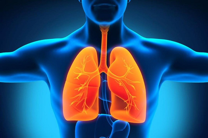 Dư thừa chất lỏng ở túi khí của phổi có thể gây khó thở khi nằm