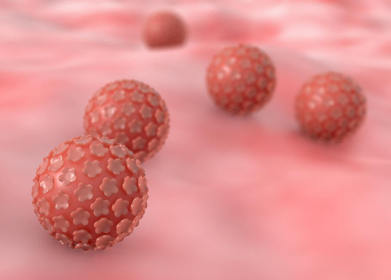 Virus HPV khi xâm nhập vào cơ thể có khả năng gây nên nhiều bệnh lý nguy hại đến sức khỏe