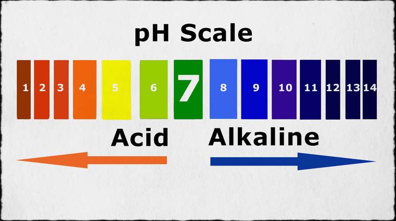 Chỉ số pH nước tiểu được kiểm tra bằng que thăm dò
