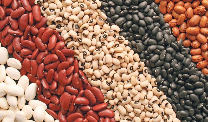 Các loại hạt đậu được xem là thân thiện đối với người bị trào ngược dạ dày