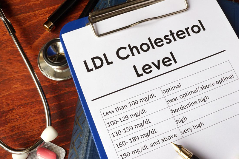 Có không ít người thắc mắc, không biết LDL Cholesterol là gì