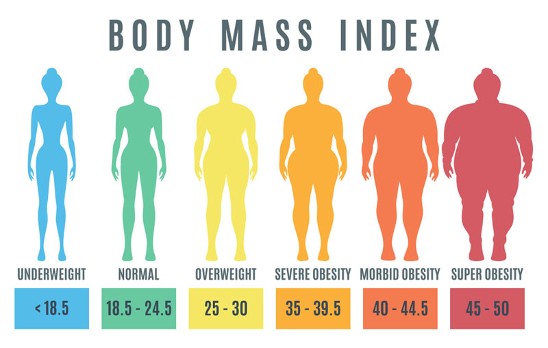 Chỉ số BMI là chỉ số khối cơ thể
