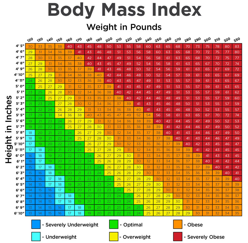 Nhiều bạn thắc mắc chỉ số BMI bao nhiêu là bình thường