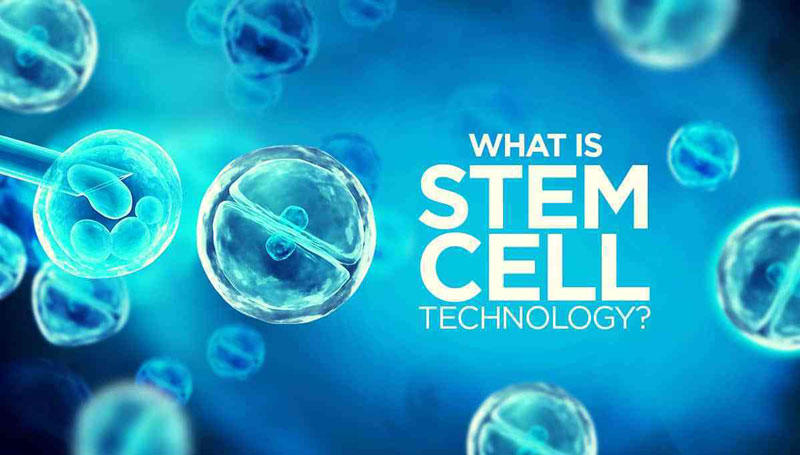 công nghệ tế bào gốc