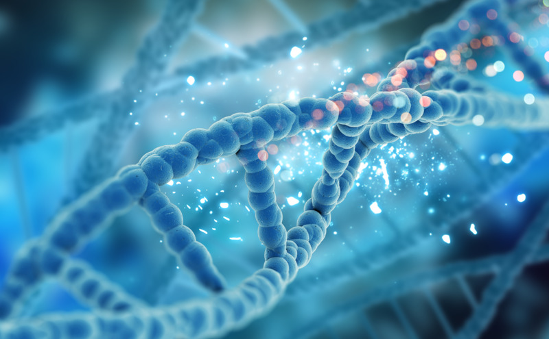 Phương pháp PCR giúp con người hiểu hơn về hệ gen