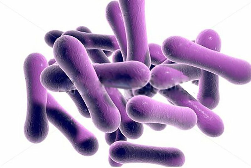 Vi khuẩn bạch hầu có thể lây lan nhanh chóng từ người bệnh sang người lành