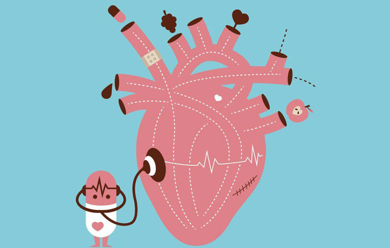 Bổ sung đầy đủ chất xơ hòa tan giúp tim mạch khỏe mạnh