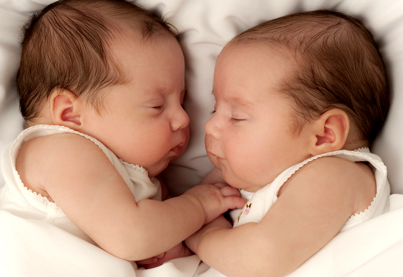 Những anh chị em sinh đôi, sinh ba,... có ngoại hình giống hệt nhau là do đa thai cùng noãn