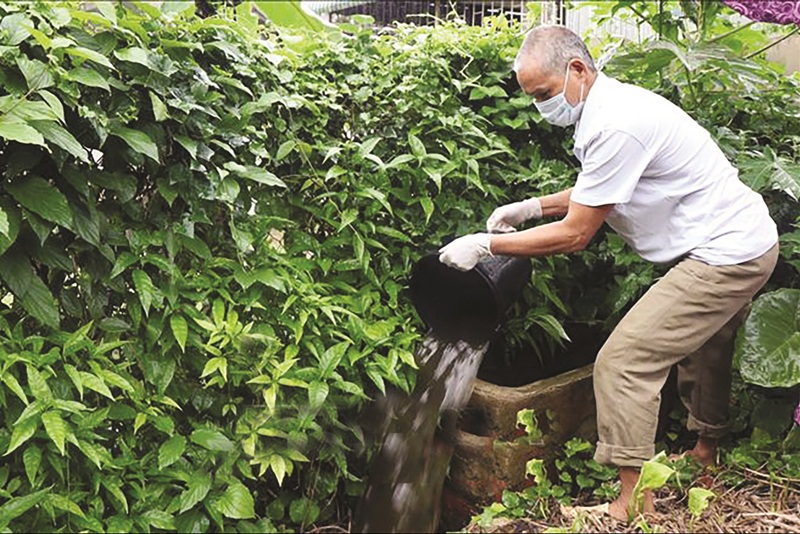 Loại bỏ ổ nước đọng để hạn chế sự sinh sản của muỗi