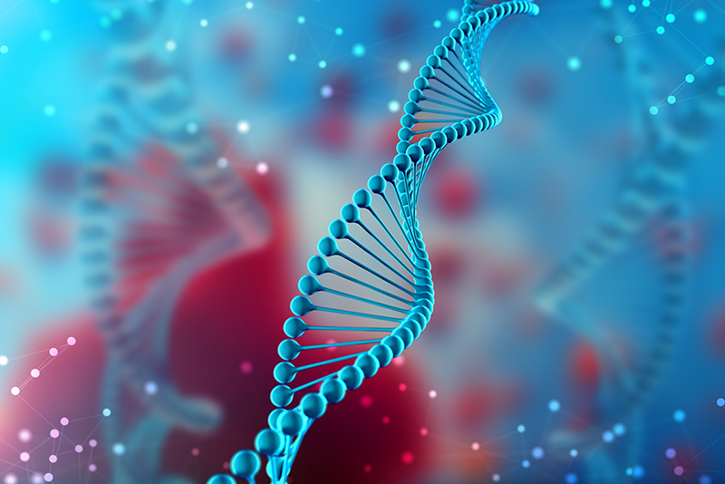 Quá trình nhân bản ADN diễn ra nhanh chóng làm hình thành nên các khối u không mong muốn