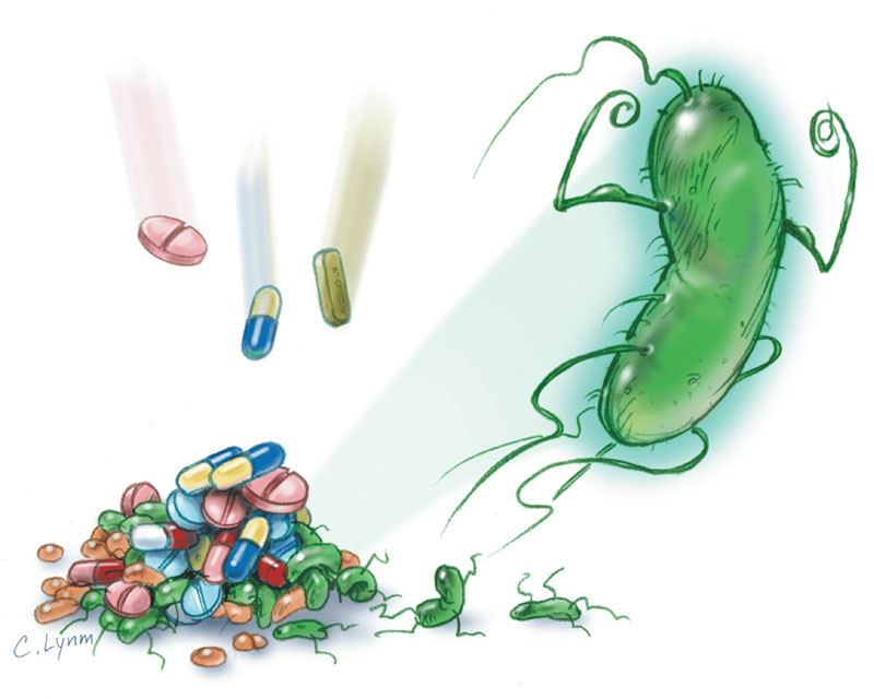 Sử dụng thuốc kháng sinh trong điều trị bệnh do vi khuẩn HP gây ra