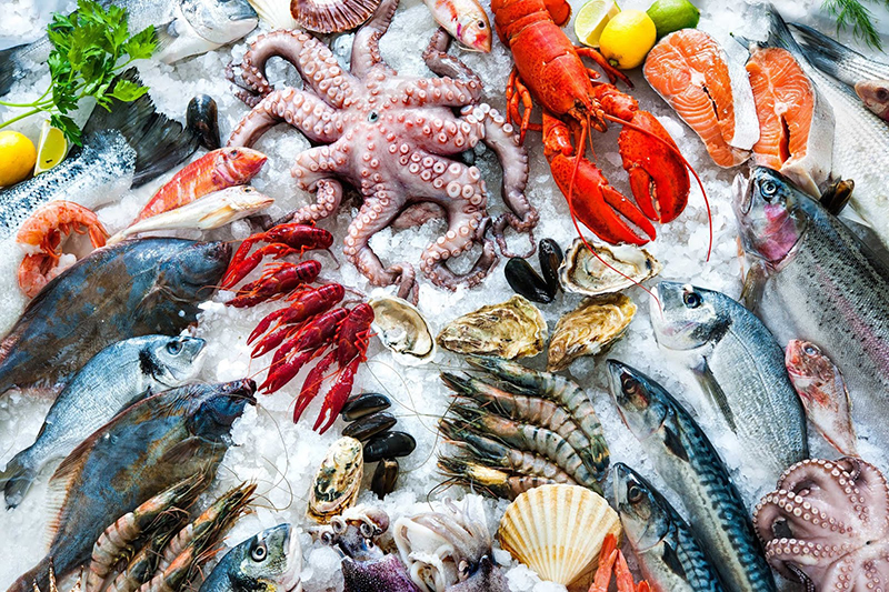 Nam giới nên bổ sung hải sản vào thực đơn dinh dưỡng 