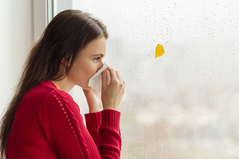 Ho, hắt hơi, sổ mũi là triệu chứng dễ thấy nhất khi cơ thể bị cảm lạnh