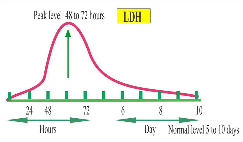 Kiểm tra chỉ số axit Lactate Dehydrogenase cơ thể