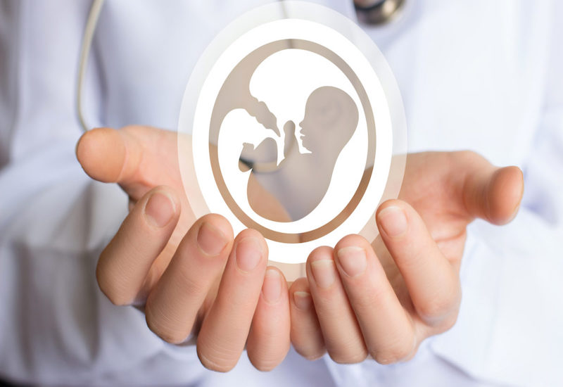 Progesterone có vai trò quan trọng đối với việc nuôi dưỡng thai nhi