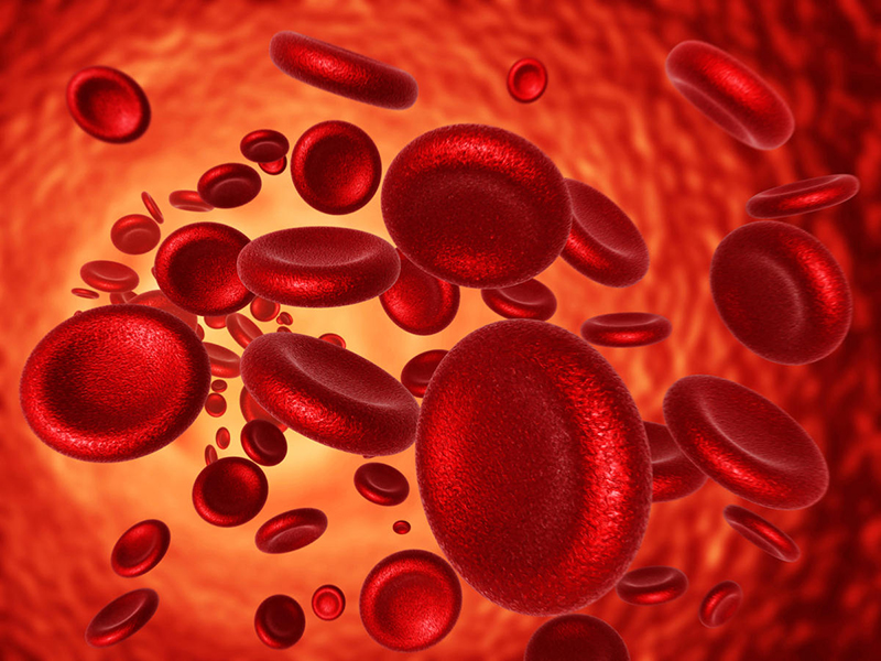 Thiếu máu là một thuật ngữ biểu đạt tình trạng của hồng cầu trong cơ thể