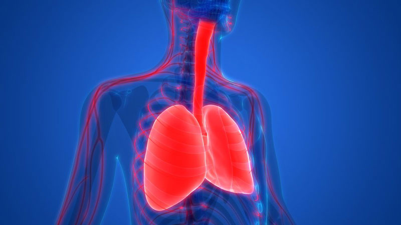 Người mắc bệnh liên quan tới phổi, phế quản thường thở nông, khó thở