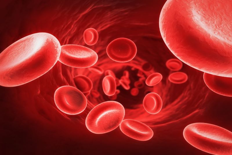 Hiến máu giúp cơ thể kích thích khả năng tạo máu