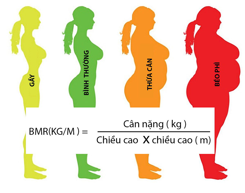 Vóc dáng tiêu chuẩn của nữ theo chỉ số BMI 