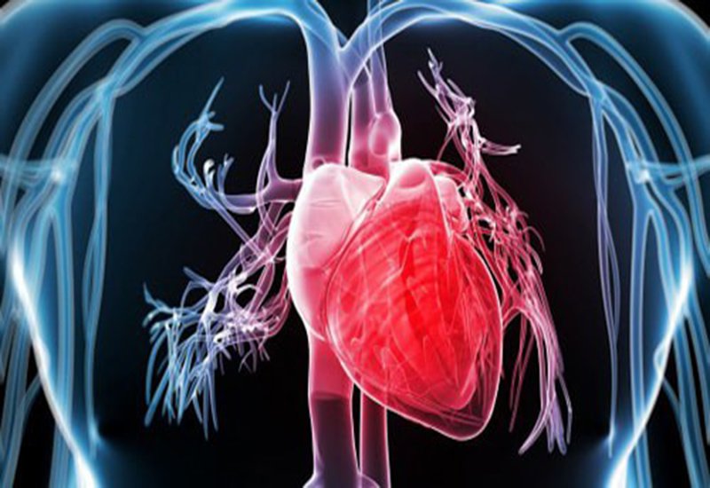 Béo phì làm suy giảm chức năng tim gây nguy hiểm cho tính mạng