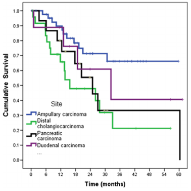 Tỷ lệ sống sót trung bình theo thời gian (tháng) của các loại ung thư biểu mô quanh bóng Vater