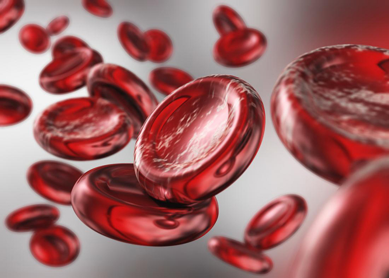 Lượng huyết sắc tố ở mức thấp chính là nguyên nhân gây ra thiếu máu